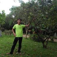Nguyễn truyền